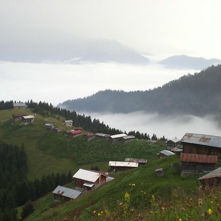 Ayder Hasimoglu Hotel Extérieur photo