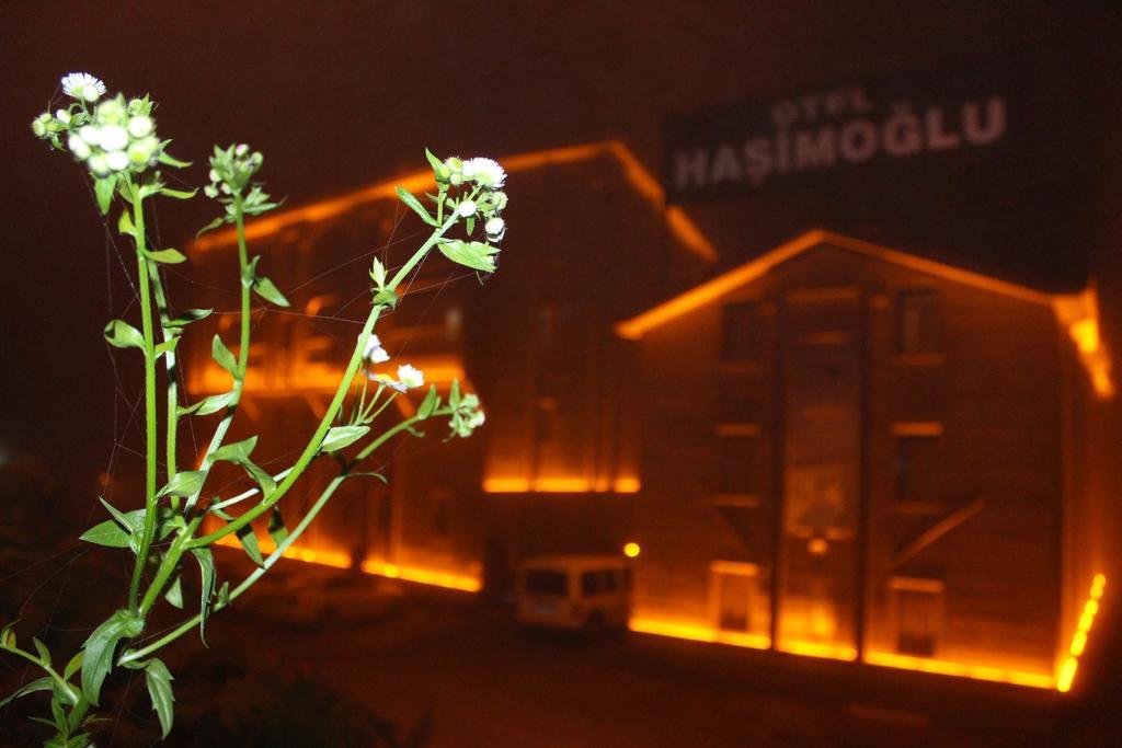 Ayder Hasimoglu Hotel Extérieur photo