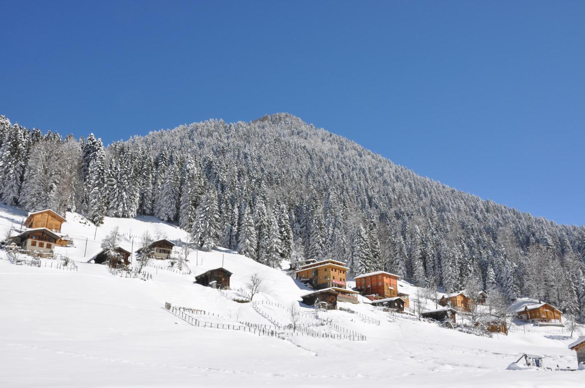 Ayder Hasimoglu Hotel Extérieur photo