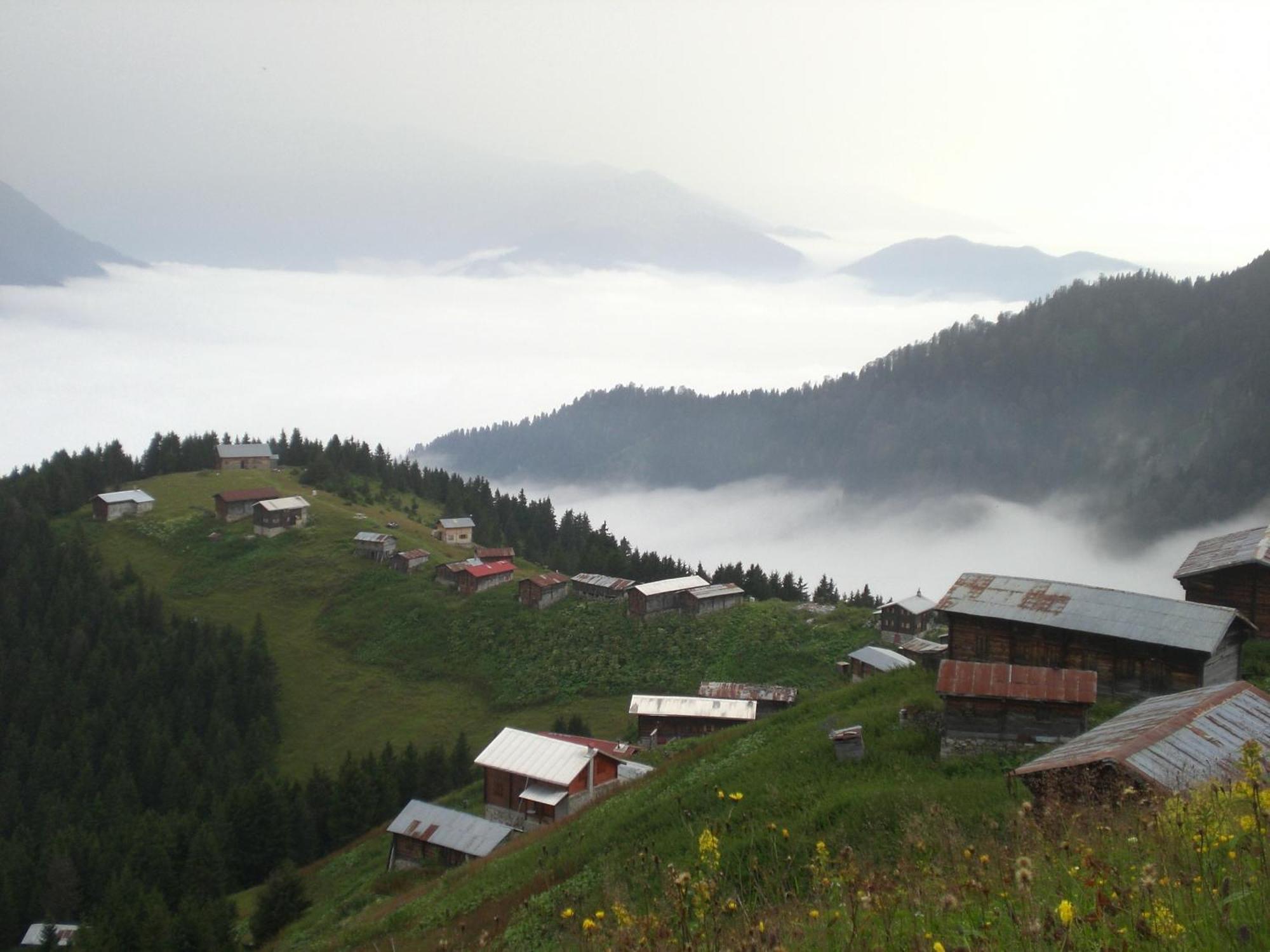 Ayder Hasimoglu Hotel Extérieur photo