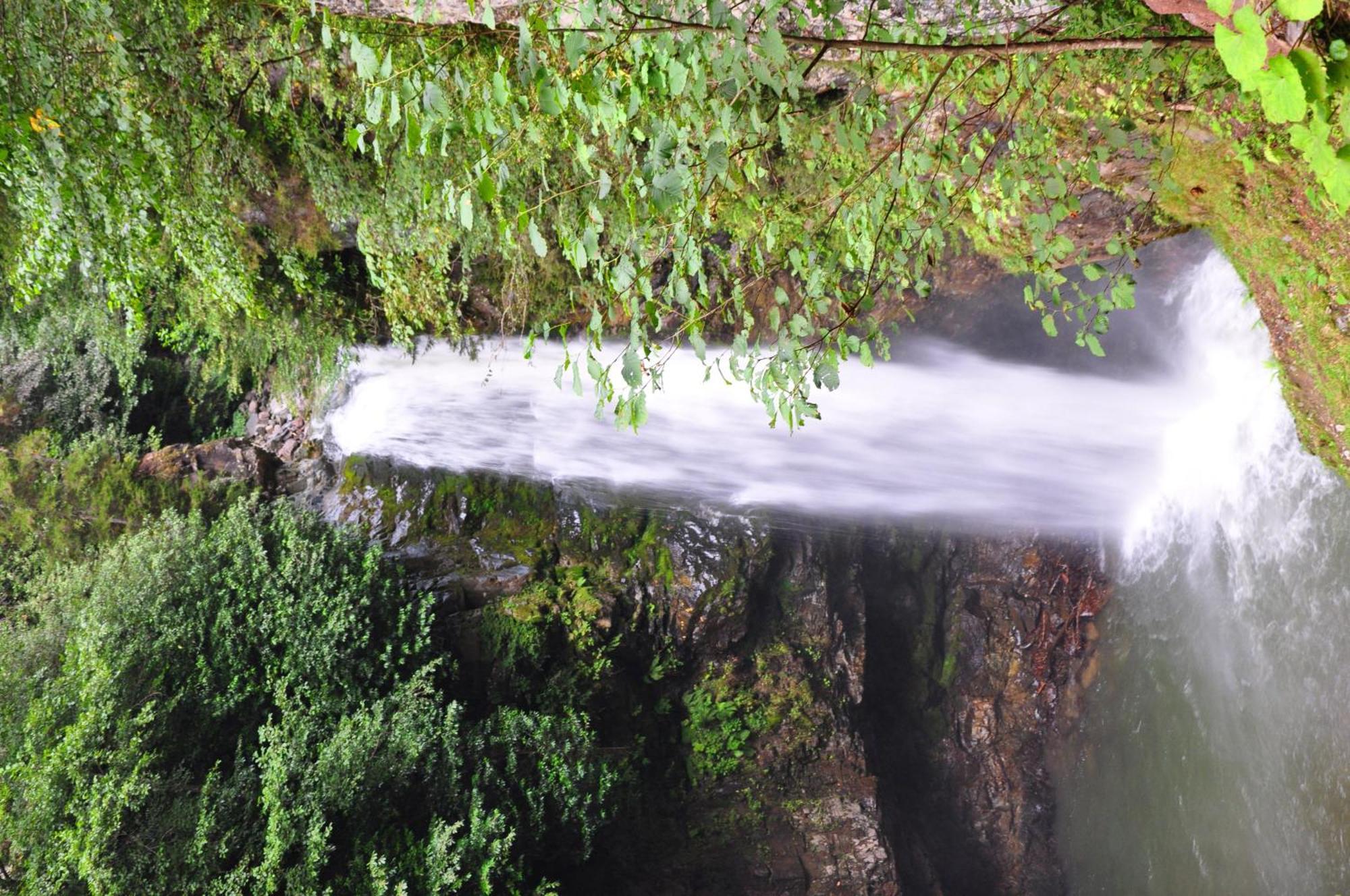 Ayder Hasimoglu Hotel Extérieur photo