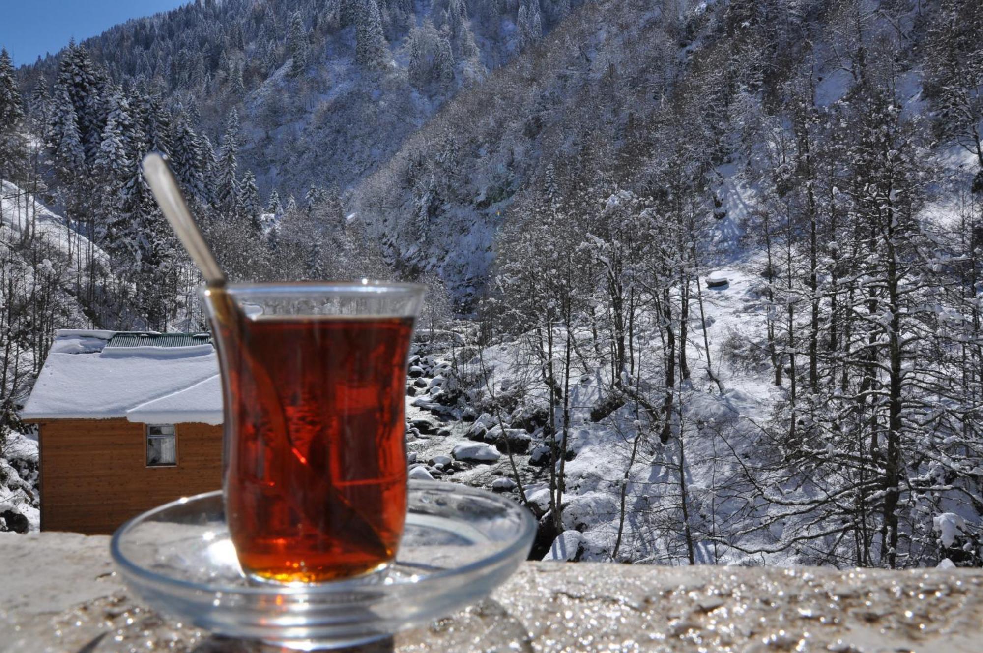 Ayder Hasimoglu Hotel Extérieur photo